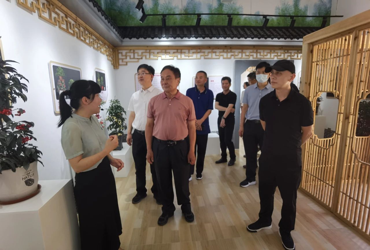 hahabet星辰大海-官网登录入口